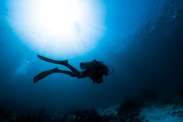 240_F_271591421_m76di0KI4ox8ezHM8DtbONeHf6FIJrsv-1