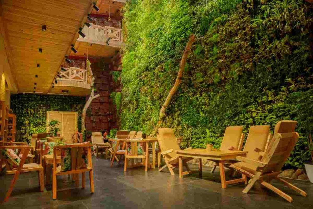ayurvedic-cafe-in-Koregaon-Park