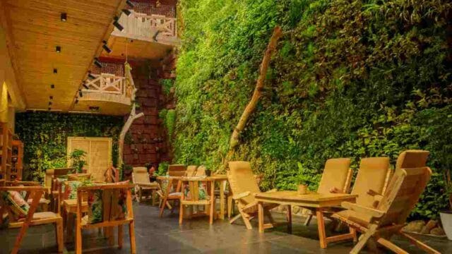 ayurvedic-cafe-in-Koregaon-Park